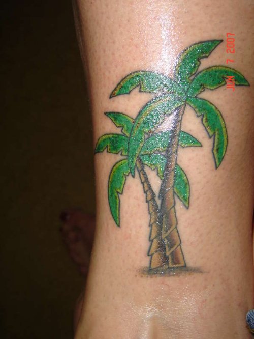 Palm Tree Tattoo on Forearm